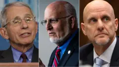 Dr Anthony Fauci, Dr Robert Redfield and Stephen Hahn