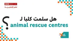 إكسترا إنجليش تعلم الإنجليزية