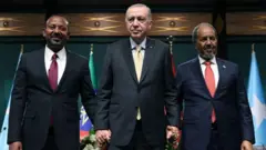 MM Itoophiyaa Abiy Ahimed, Pirezidaantii Turkii, Resib Teyib Erdohaanii fi Hasan Sheek Mohaammad, pirezidaantii Somaaliyaa