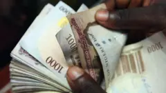 Wani na ƙirga naira dubu-dubu