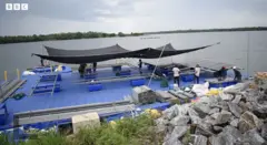 පාවෙන සූර්ය බලාගාර