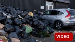 வீதிகளில் மலை போலக் குவியும் குப்பைகள் - சுற்றித் திரியும் பூனை அளவுக்குப் பெரிய எலிகள்