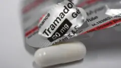 Sebuah pil berwarna putih dengan latar strip obat bertuliskan tramadol.