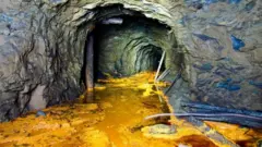 प्रतिकात्मक फोटो