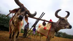 ખેડે એની જમીન, પાટીદાર, ક્ષત્રિયો, જમીનદારો 