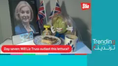 كيف "انتصر" رأس خس على رئيسة الحكومة البريطانية المستقيلة؟