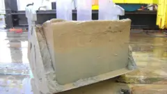 Sediment core