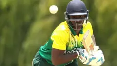 Cricket