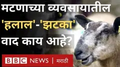 मटण हलाल की झटका?