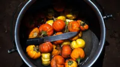 Aubergines jaunes et oranges cuites dans une casserole