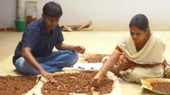 ਸੀਡ ਬਾਲ
