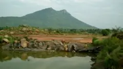 KAVUTHI VEDIYAPPAN PROTECTION ASSN