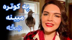 یوه روغتیاپاله وايي، پر خپلې هغې کوترې میینه ده چې په یوه میخانه کې یې ومونده.