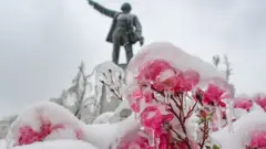 В Приморском крае – ледяной шторм, а это ветер, снег и дождь одновременно