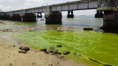 கடல் நீர் பச்சையாக மாற்றம்