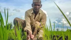 प्रातिनिधिक फोटो