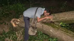 વૃક્ષપ્રેમી