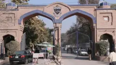 پېښور پوهنتون