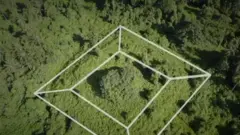 Vista aérea do local onde fica a pirâmide, com uma projeção de onde estariam suas paredes debaixo da floresta