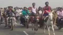 ગધેડાની રેસ