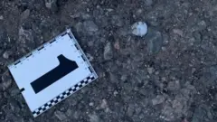 Поліцейський знак розташування доказу
