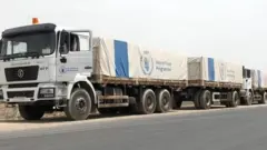 ረድኤት ዝጽዓና መካይን