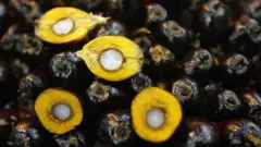 пальмова олія