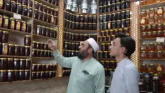 شات