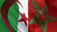 علما الجزائر والمغرب