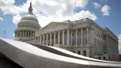 Американский сенат