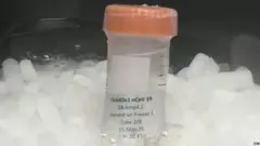 कोरोनाच्या चाचणीची लस