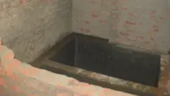मदिरा