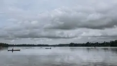 Des pêcheurs plongent en apnée à plusieurs mètres de profondeur sans aucun équipement pour récolter des palourdes au fond de la mangrove à l'embouchure du fleuve Congo, dans l'extrême sud-ouest de la République démocratique du Congo, le 22 octobre 2021.