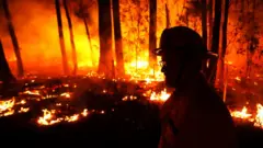 A firefighter is silhouetted, standing in front of a bushfire