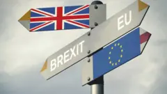 બ્રેક્સિટની તસવીર
