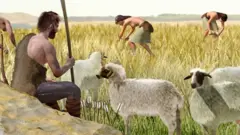 नवपाषाणयुगमा मानिसहरूले भेडा, बाख्रा र गाई पाल्न थालेका थिए