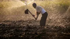 விவசாயி கோப்புப் படம்
