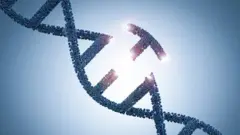 The gene-editing CRISPR technique