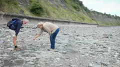 DINOSAURUS