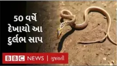આ અતિદુર્લભ સાપનો આહાર માત્ર ઈંડા જ છે, એટલે તેને એગ ઇટર કહેવામાં આવે છે.