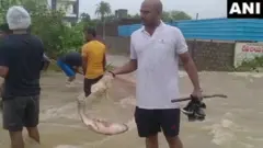 వరదలు