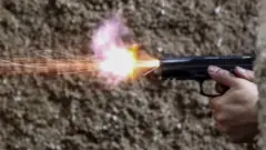 pistol, senjata api
