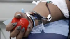 بلڈ