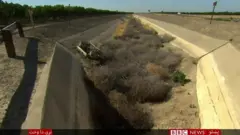 وچکالي
