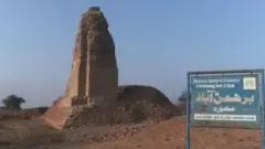 पाक