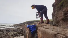 The fossil was found on a Northumberland beach