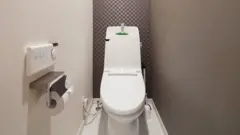 شكل المراحيض في اليابان.