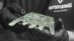 Miembro de la Sociedad de Ciencias Aranzadi sostiene "la mano de Irulegi".