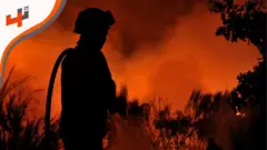 تطبيق يساعد الشباب الناشئ في احتراف كرة القدم