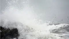 море
